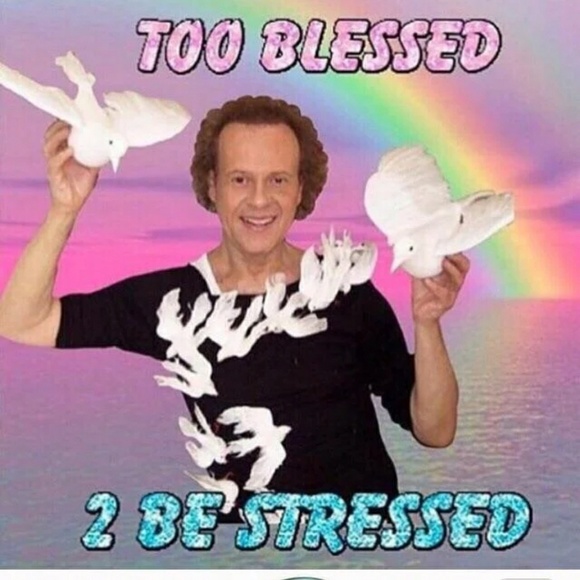 Meet your Posher, Parisa - Picture 1 of 3